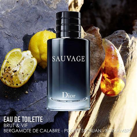 christian dior sauvage eau de toilette 100 ml|dior sauvage for men 30ml.